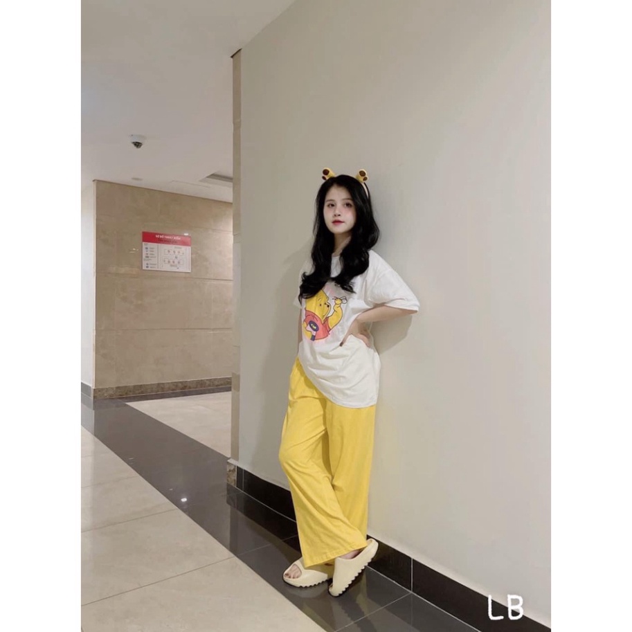 Bộ gấu vàng siêu dễ thương mix quần suông ống rộng đồ bộ nữ cotton HN292 0322