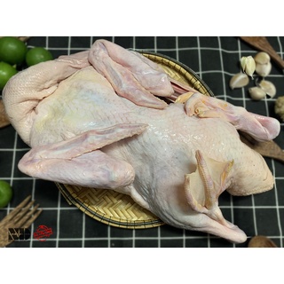 Vịt nóng nguyên con | Sản xuất trong ngày | Đặt trước 12h đêm shop sẽ giao vào sáng mai.