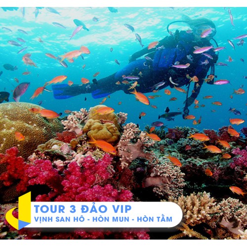 NHA TRANG [E-Voucher] - Tour 3 Đảo Vip Vịnh San Hô – Hòn Mun – Hòn Tằm 1 ngày