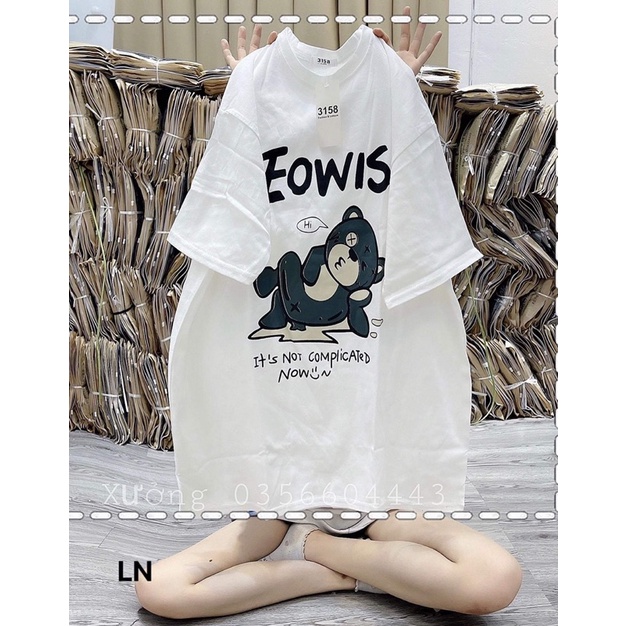 Áo phông gấu EOWIS LN12