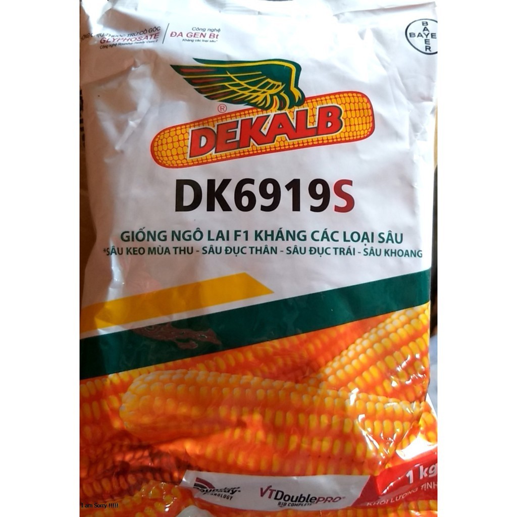 Hạt giống ngô lai F1 kháng các loại sâu DK6919S 1kg-  Bayer, bắp kháng sâu, 6919s, ngô biến đổi gen