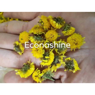 Combo 3 lọ trà hoa cúc sấy lạnh
