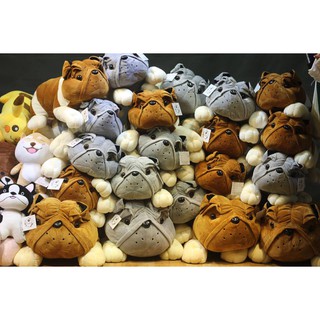 Gấu boog - Thú bông - Chó mặt xệ bông cotton trắng muốt