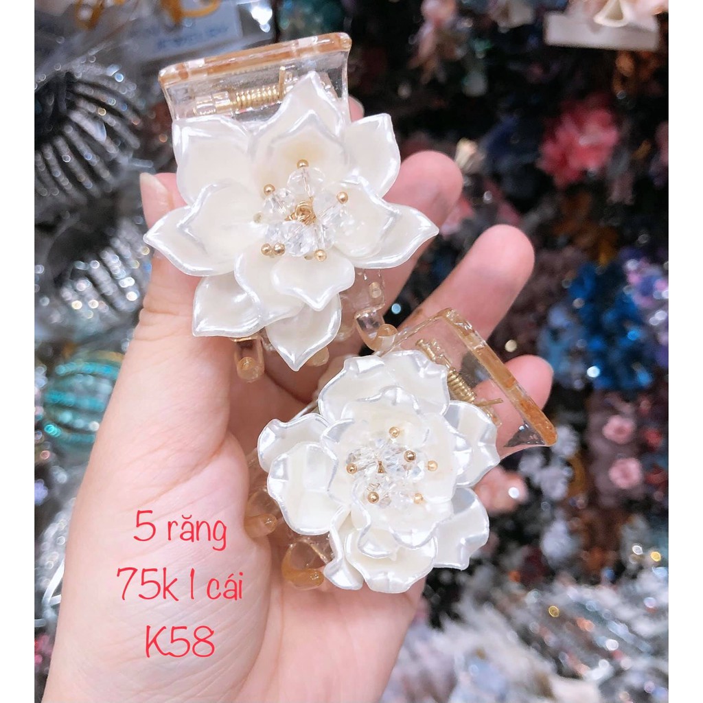 Kẹp tóc càng cua - Gắp tóc Hair clip dạng 3 - 5 răng thân kẹp trong đính hoa nhựa cao cấp