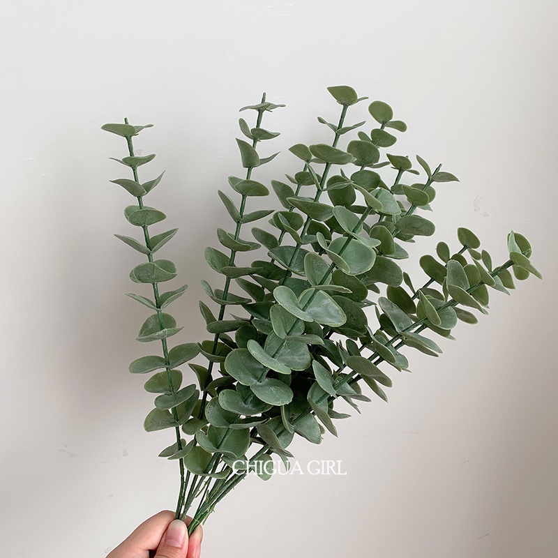Cành Khuynh Diệp Nhân Tạo Trang Trí Nội Thất Đẹp Mắt