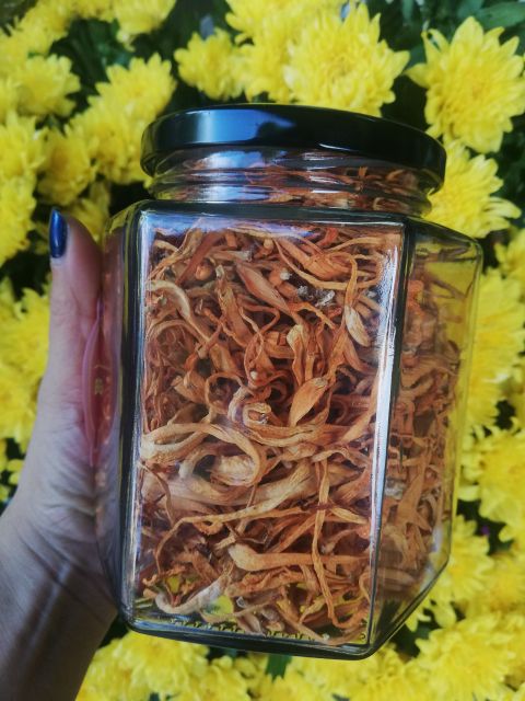Đông trùng hạ thảo khô lọ 10g giá dùng thử