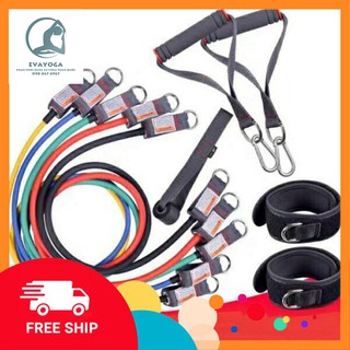 Bộ 5 Dây Ngũ Sắc tập Gym Cao Cấp - Đồ tập EvaYoga