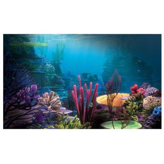 Tranh decal dán hồ cá 3D siêu đẹp_ Giá rẻ