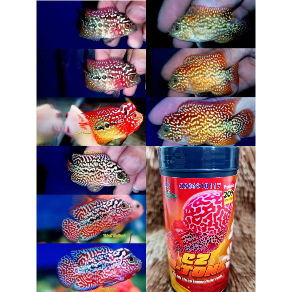 Cz19-2Tone, Thức Ăn Cá La Hán Lên Màu Nền 2 TONE, Cám Viên TĂNG MÀU ĐỎ-VÀNG-CAM. Hàng Thái Lan