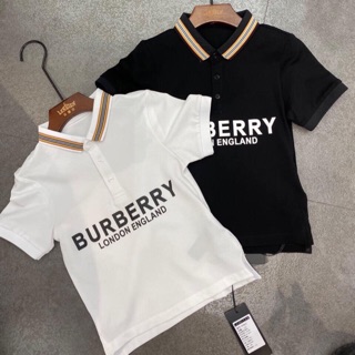 Áo phông cổ burberry