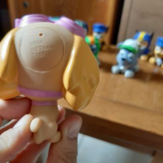 Set 10 chú chó cứu hộ