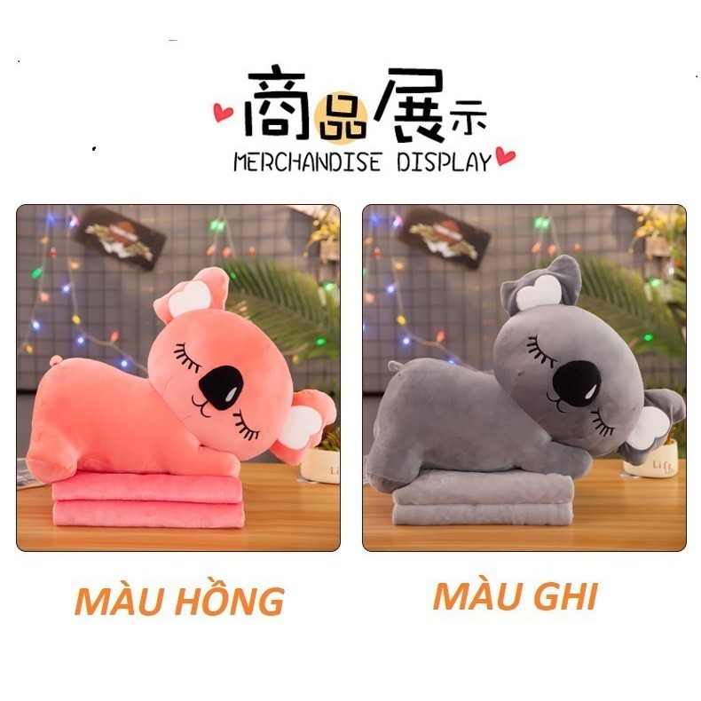 Bộ Chăn gối gấu bông văn phòng, du lịch tiện lợi hình gấu Koala siêu đáng yêu