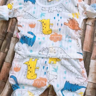 Combo 5 bộ cotton giấy bé gái