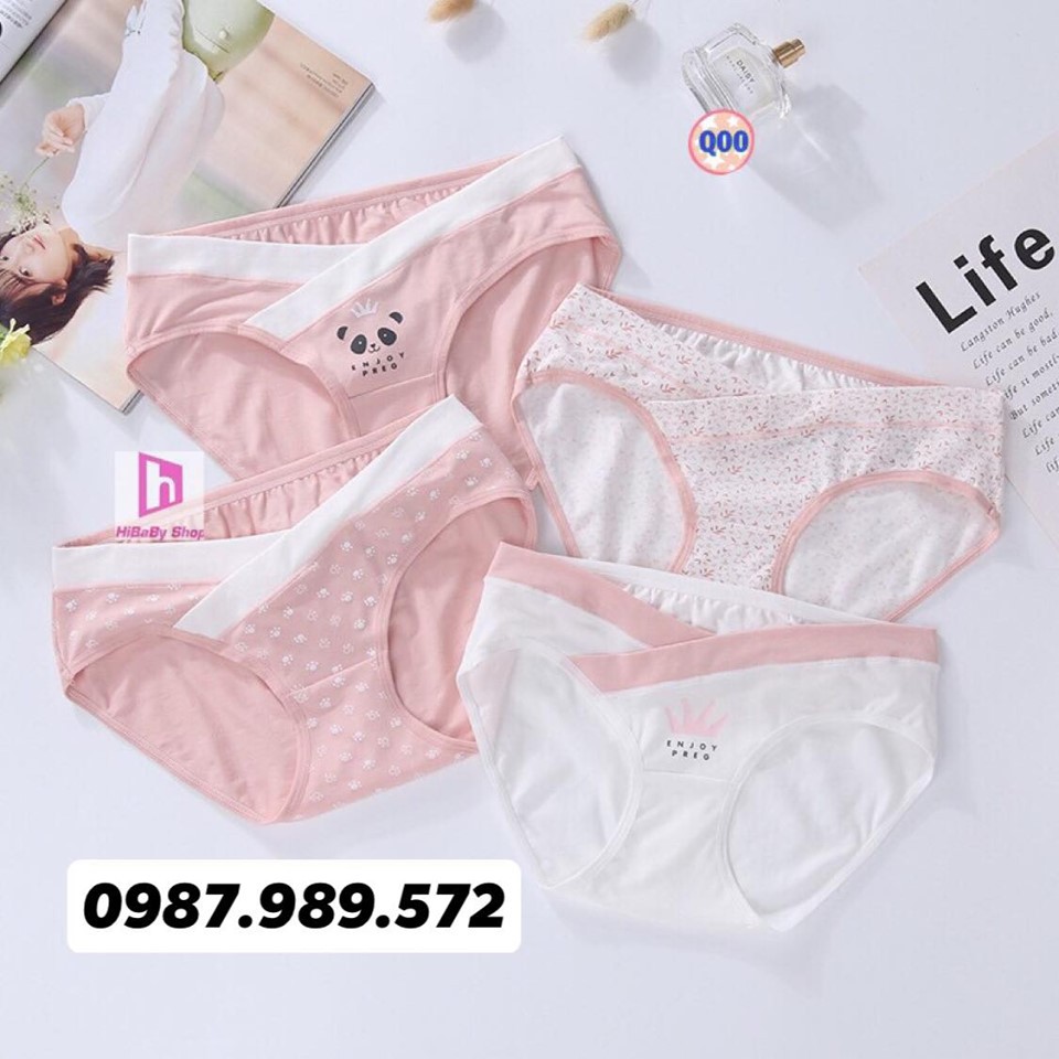 Sét 4 Quần Lót Bầu cạp chéo ( CS101 ) coton sịn siêu cute ( túi zip)