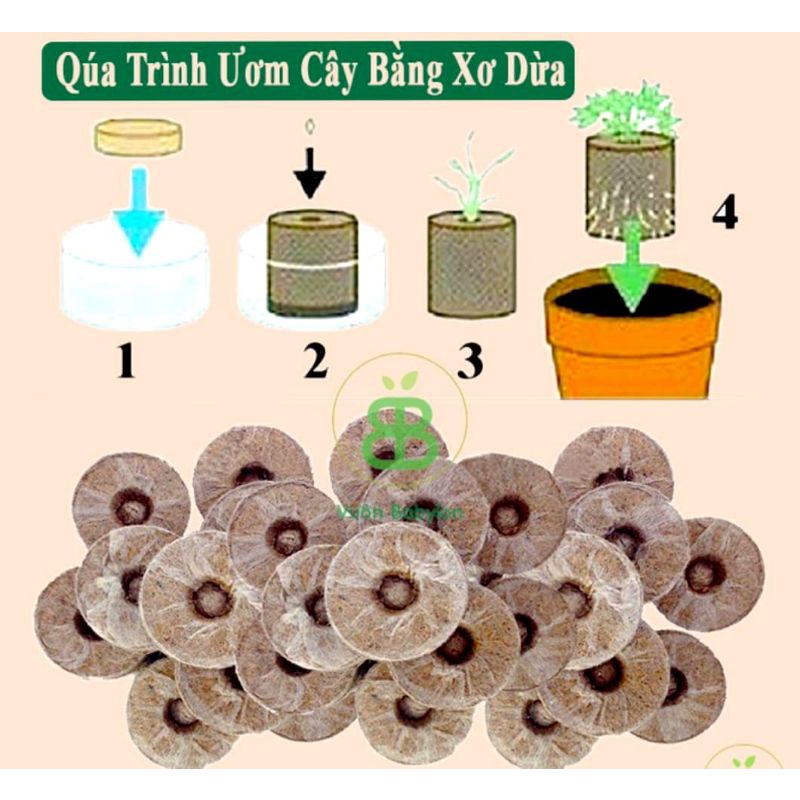 COMBO 10 Viên Nén Sơ Dừa Ươm Cây Giống, Hạt Giống