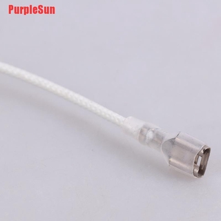 PurpleSun 220V Halogen Bulb 900-1000W Halogen Lamp Halogen Light Bulb