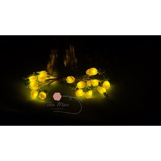 Trang trí Tết - Đèn trái thơm