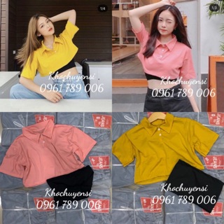 🔅set áo croptop cổ petter kèm áo ống