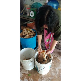 1 kg Mật ong rừng U Minh Nguyên sáp