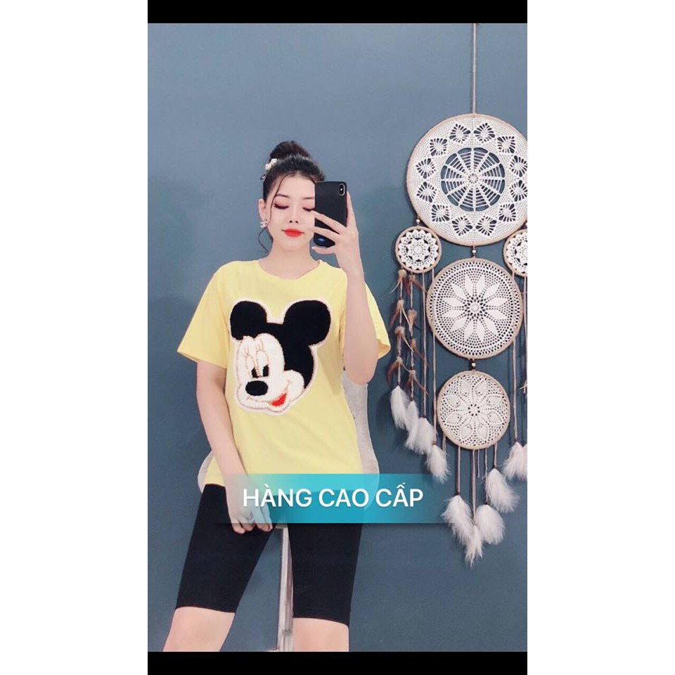 SÉT BỘ THỜI TRANG CAO CẤP ĐẦU CHUỘT LÔNG-SB82