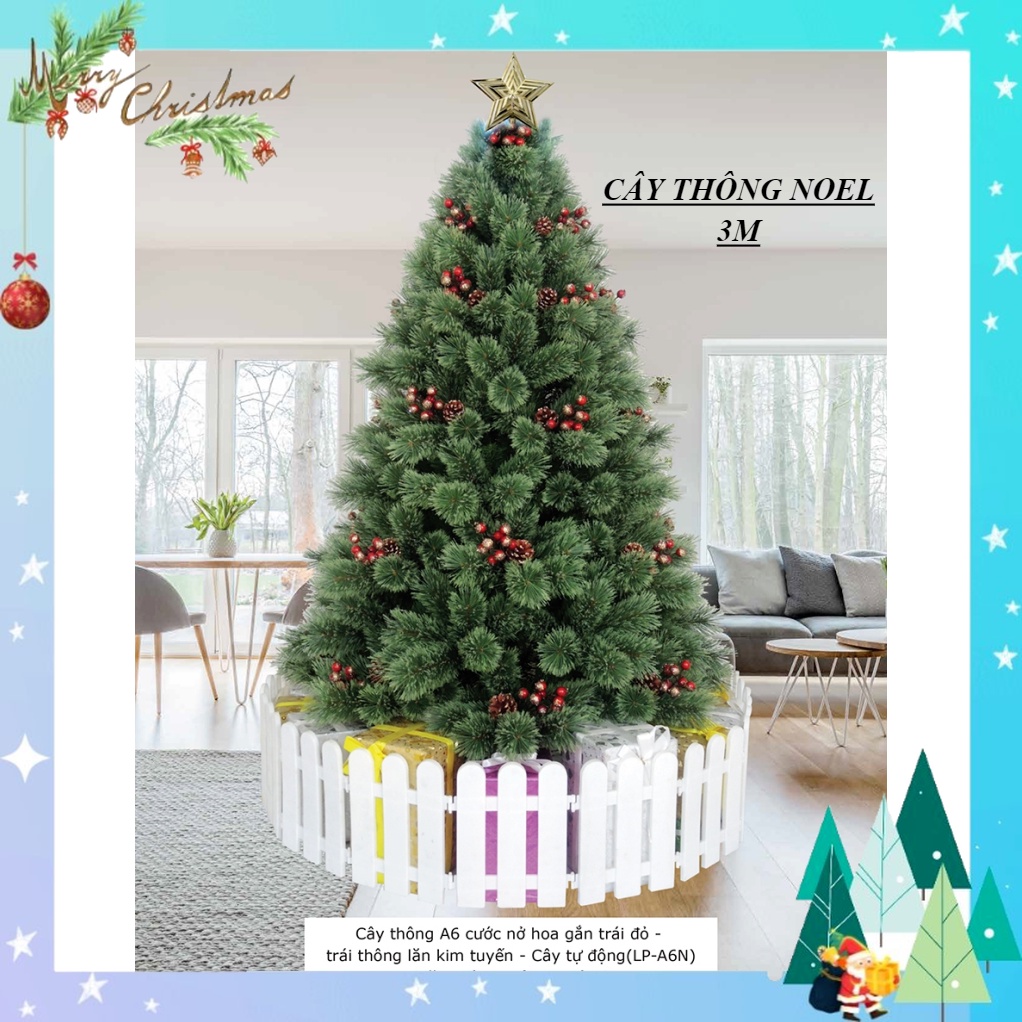 Cây thông noel 3m A6 cước nở hoa gắn trái đỏ và trái thông tán lá dày trang trí giáng sinh trong nhà ngoài trời