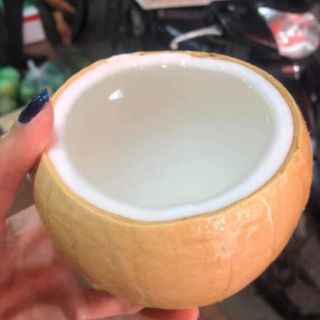 Dừa xiêm sọ Bến Tre
