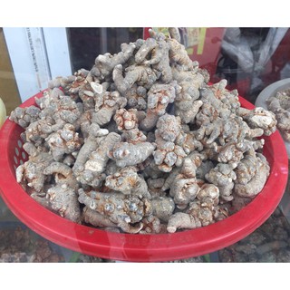 Tam Thất Bắc Khô Hòa Bình loại 1