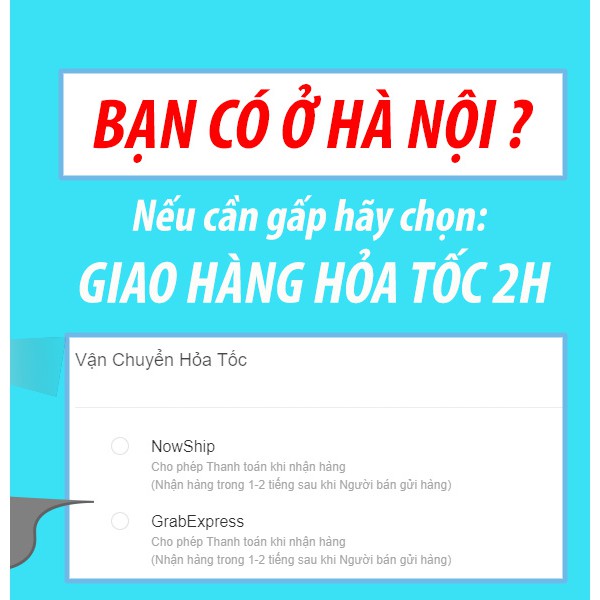 Miếng dán điện thoại Chuyển vận 12 con giáp & Cải vận