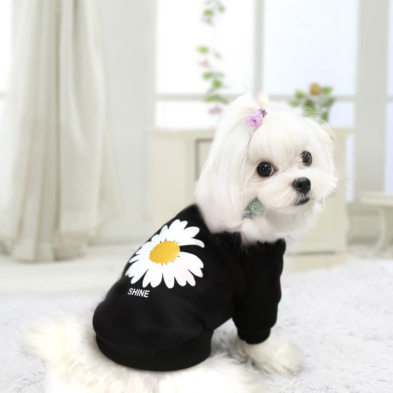 Áo Len May Mắn Cho Thú Cưng In Hình Hoa Cúc Nhỏ Và Nhỏ Dễ Thương