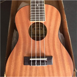Đàn UKULELE GỖ LYRIC sale