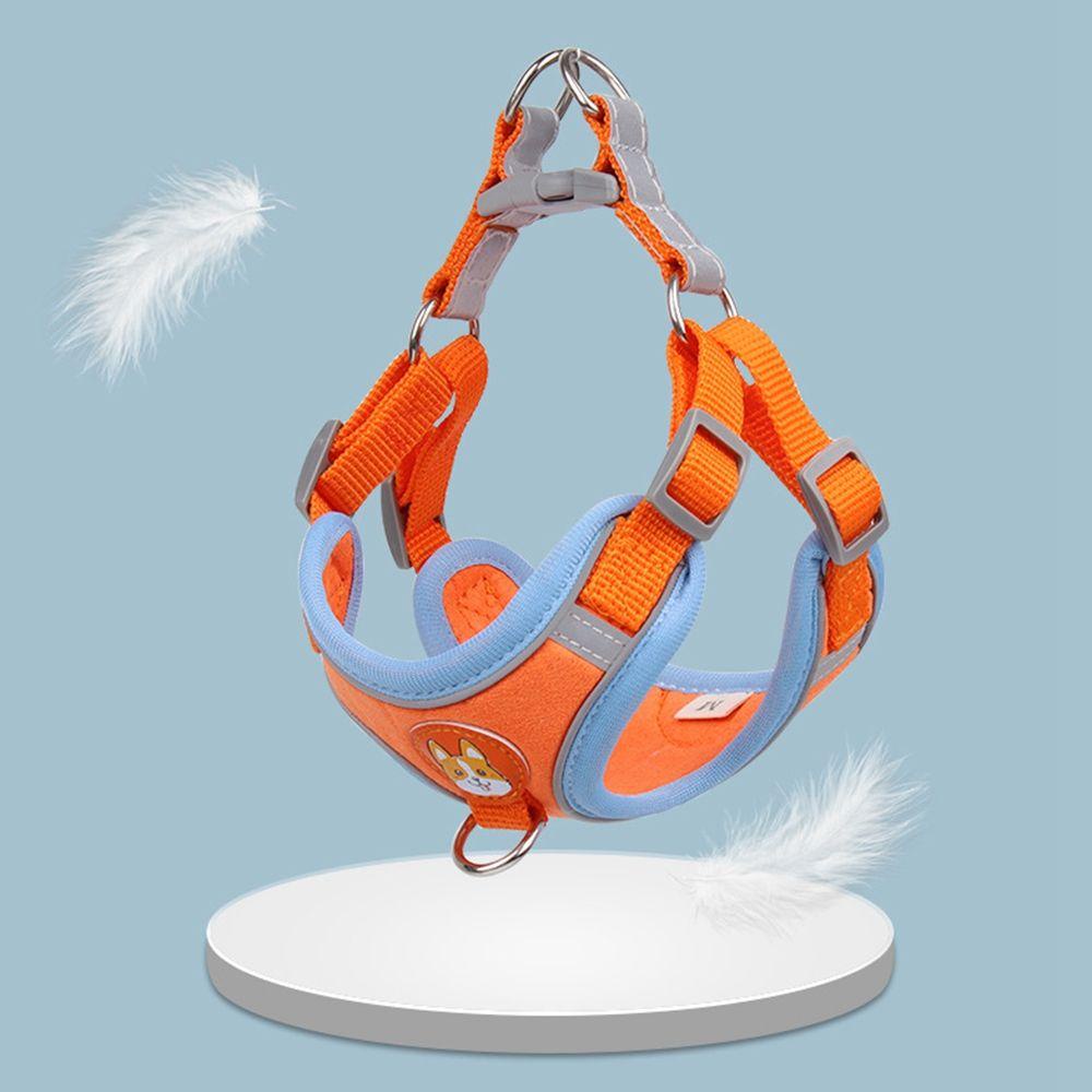 Dây Dẫn Cún Cưng Đi Dạo Mềm Mại Tiện Dụng