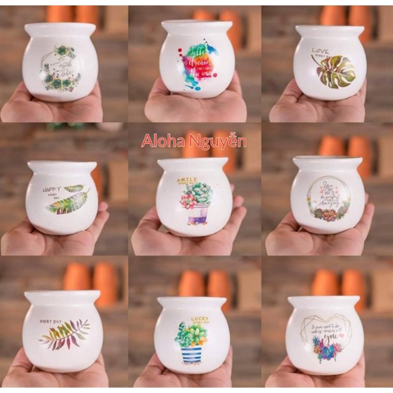 Chậu hủ mini decal/trơn ,hàng bao bể.