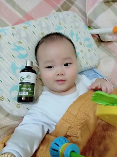 Tinh dầu tràm Huế 100 ml