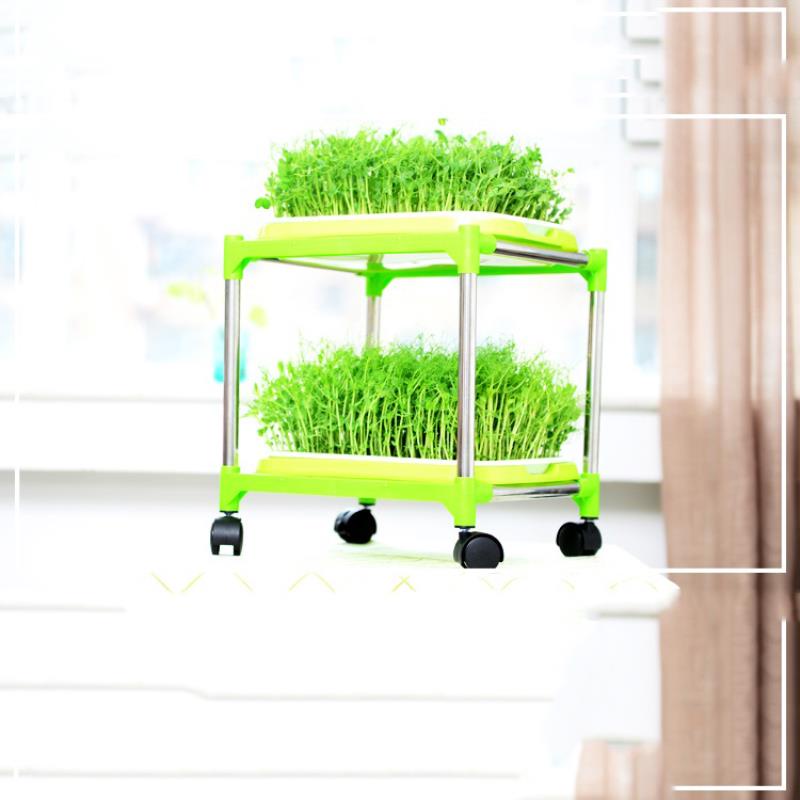 Bộ kit Khay trồng rau mầm thủy canh chuyên dụng TKM-3.3, Khay, Giá đỡ, Vòi xịt, Hạt giống