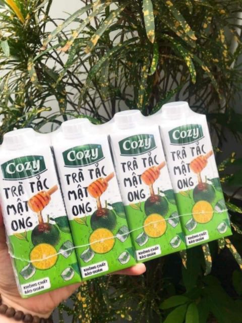 Trà cozy 3 mùi | BigBuy360 - bigbuy360.vn