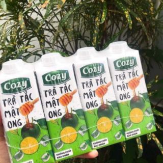 Trà cozy 3 mùi