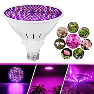 Đèn Trồng Cây E27 Kèm Chuôi 3m