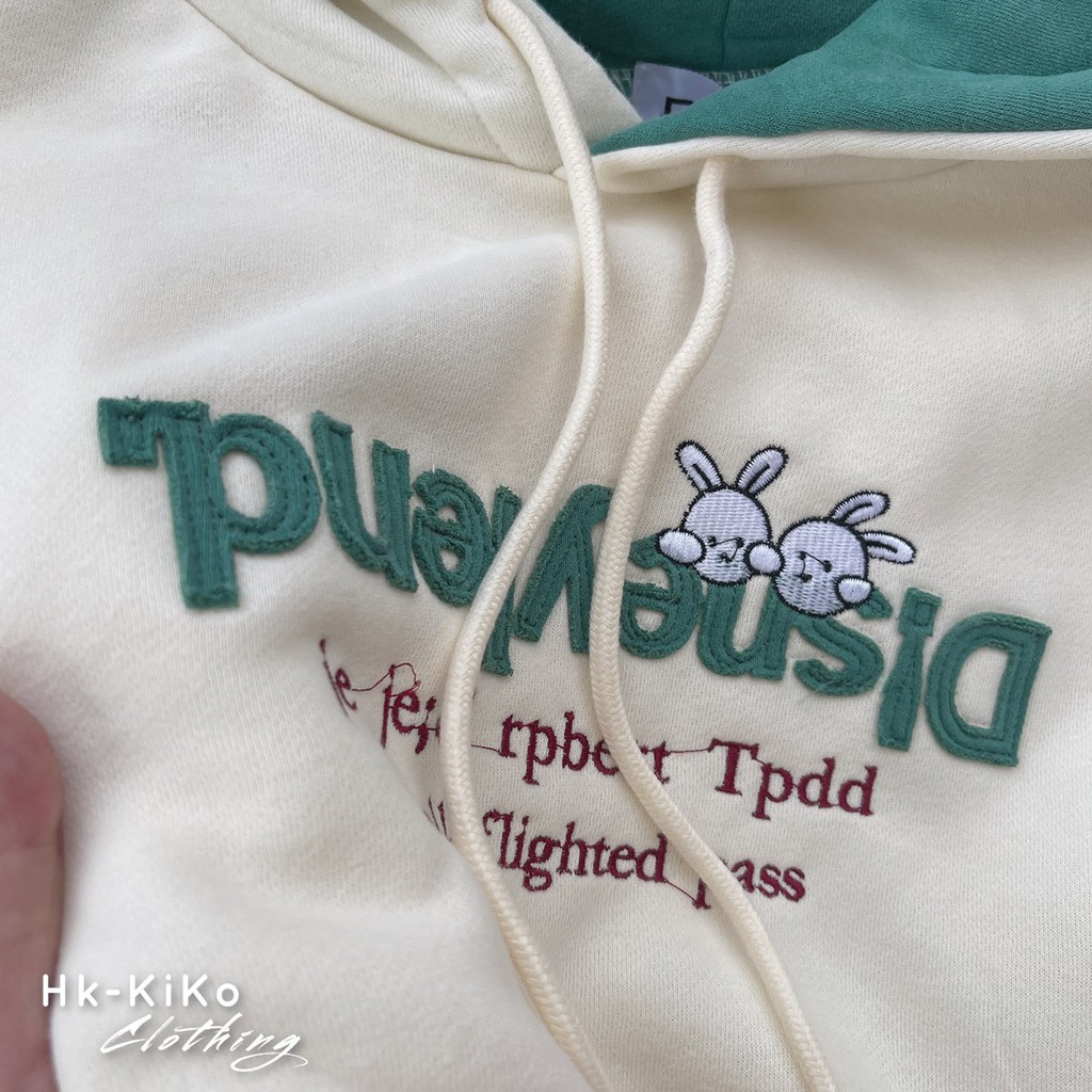 Áo Hoodie chữ thêu phối màu mũ