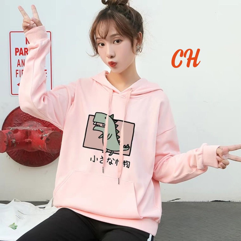 Áo hoodie khủng long chữ nhật siêu đẹp CHU0412