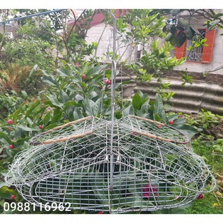 Lồng bẫy chim chào mào, mi, khướu