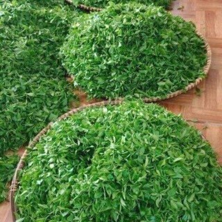 Đặc Sản Chè Thái Nguyên.