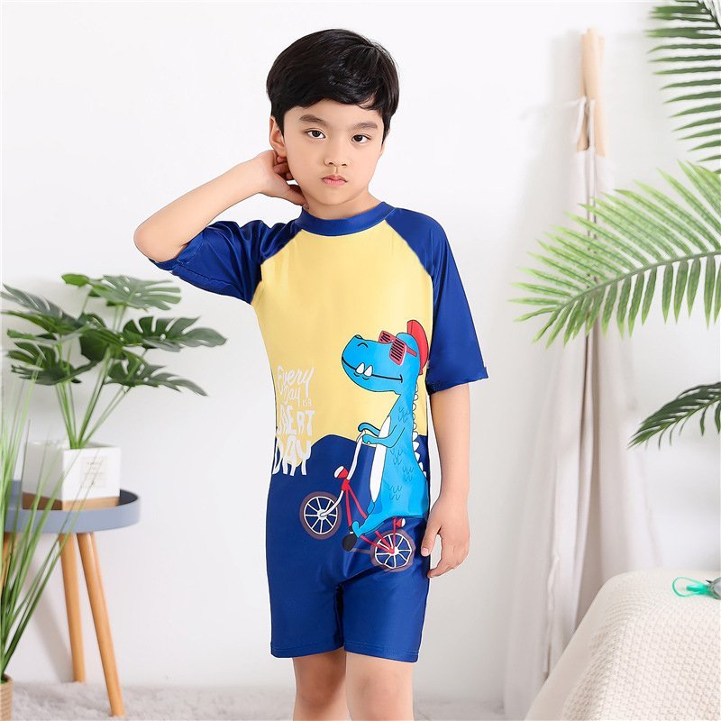 Bộ Đồ Bơi Trẻ Em Dollarkids Dành Cho Bé Trai Từ 9kg Đến Size Đại