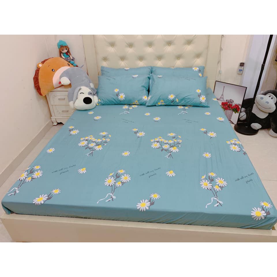 Bộ ga chun và 2 áo gối nằm Emmidecor - mẫu Cúc họa my, drap cotton poly