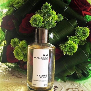 Mancera cedrat boise 120ml authentic