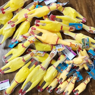 Gà nhựa Shrilling Chicken đã về đủ size🐥