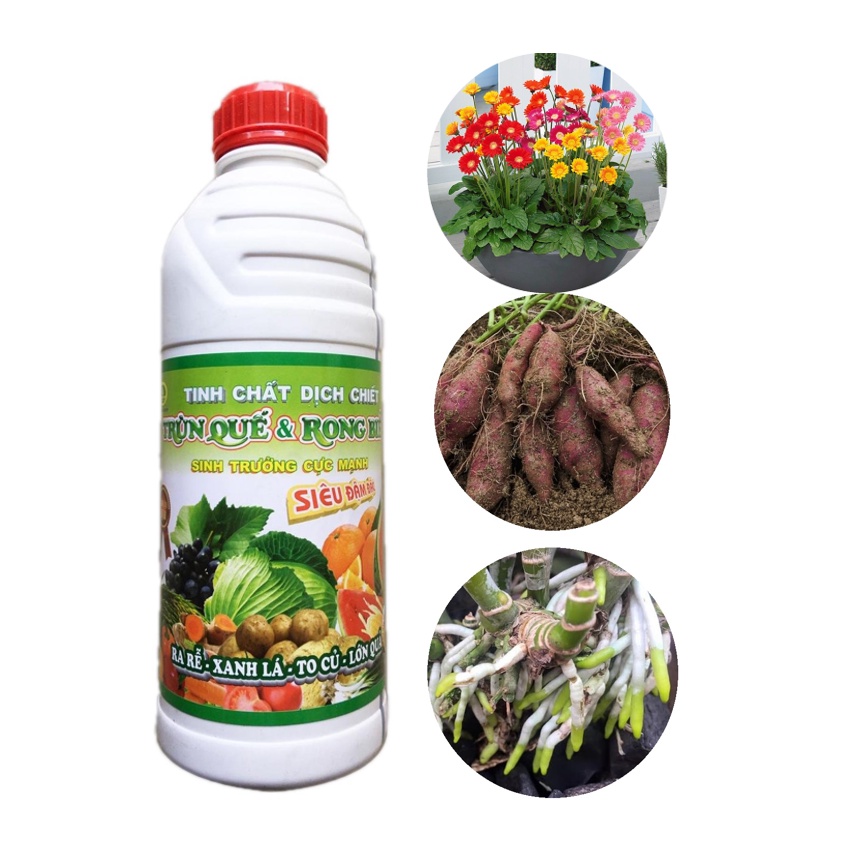 Phân bón Tinh chất dịch chiết trùn quế &amp; rong biển 1lít bổ sung vi lượng, acid Humic cây trồng