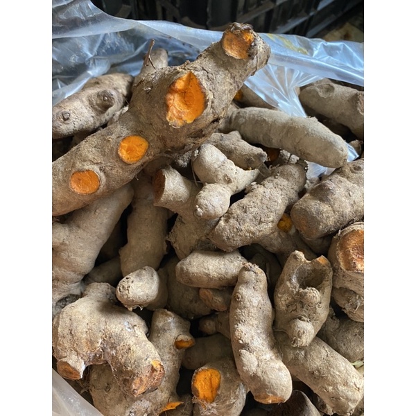 1kg Củ nghệ tươi, nghệ già vàng - tươi ngon mỗi ngày