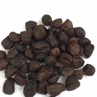 Hạt dổi tây bắc