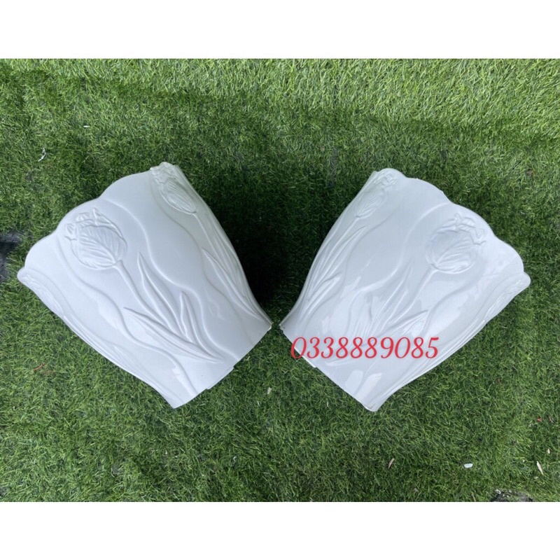 Chậu trồng cây hoa Tu líp, trồng cây, decor siêu đẹp,ảnh thật