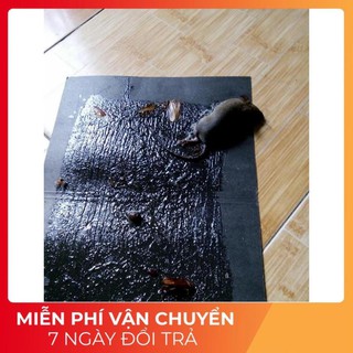 Keo Dính Chuột , Keo Dính Chuột Siêu Dính